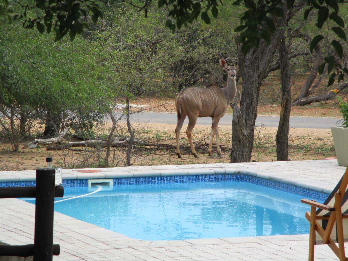 Woodpecker Lodge B&B Hoedspruit Bagian luar foto